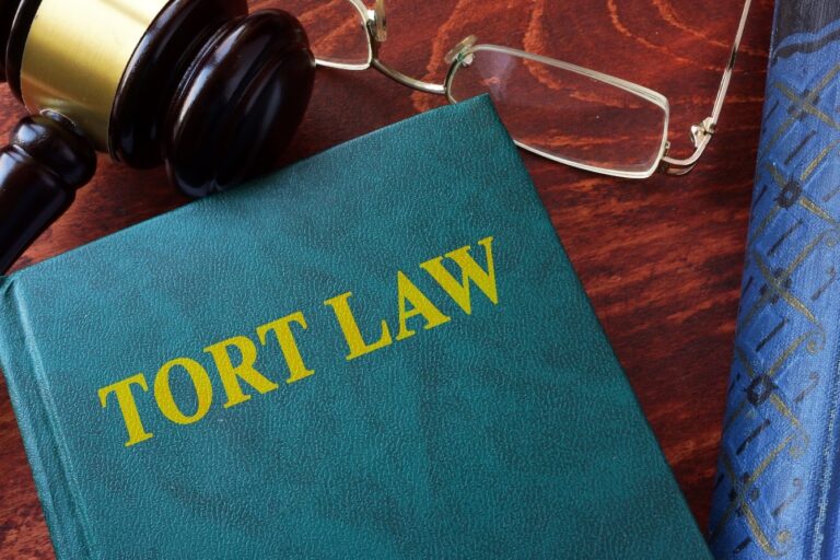 6 Legal Writing Tips to Draft a Perfect Tort Law Assignment