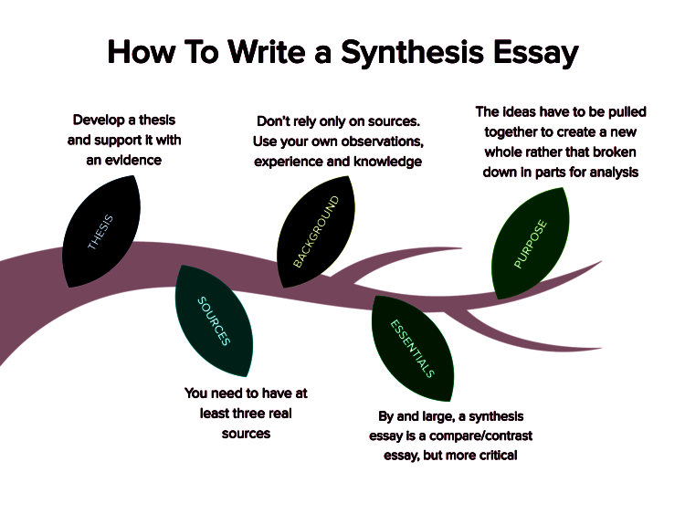 Synthesis Essays